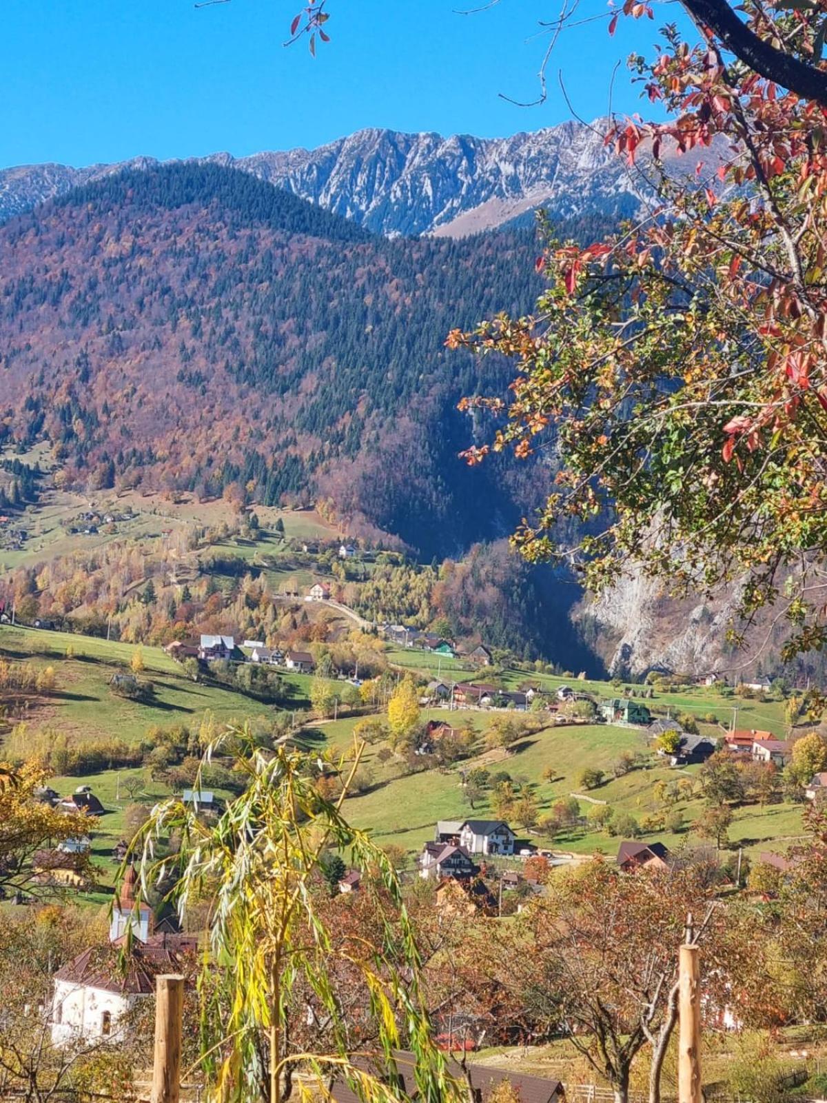Mosorel Măgura Exterior foto